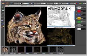 Separation Studio 2025 Crack + Torrent (Ma/Win) Free Download 