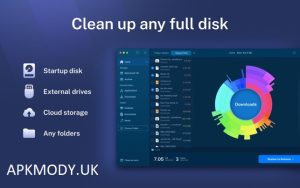 Disk Analyzer Pro 1.0.1100.1159 Crack Free Download (Latest Version)